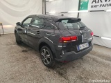 C4 Cactus