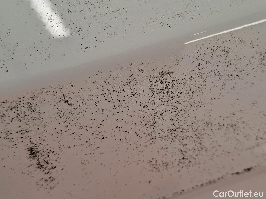  Peugeot  308  Active Business 1.2 PureTech 110CV BVM6 E6d #25