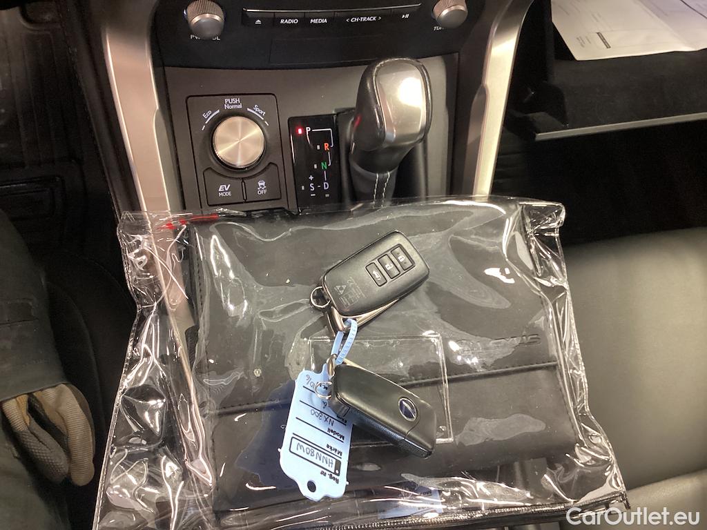 Lexus  NX 300h Business AWD Skinn Kamera **CAR TESTED 2025-06-16** #9