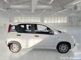  Fiat  Panda FIAT  / 2011 / 5P / BERLINA 1.0 FIREFLY 70CV SeS HYBRID #7