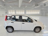  Fiat  Panda FIAT  / 2011 / 5P / BERLINA 1.3 MJT 95CV SeS E6 EASY #7