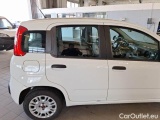  Fiat  Panda FIAT  / 2011 / 5P / BERLINA 1.3 MJT 95CV SeS E6 EASY #39