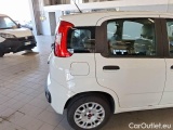  Fiat  Panda FIAT  / 2011 / 5P / BERLINA 1.3 MJT 95CV SeS E6 EASY #44