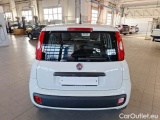  Fiat  Panda FIAT  / 2011 / 5P / BERLINA 1.3 MJT 95CV SeS E6 EASY #50