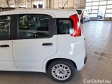  Fiat  Panda FIAT  / 2011 / 5P / BERLINA 1.3 MJT 95CV SeS E6 EASY #54