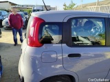  Fiat  Panda 1.0 FireFly 70cv S&S Hybrid Manual Petrol  10 #35
