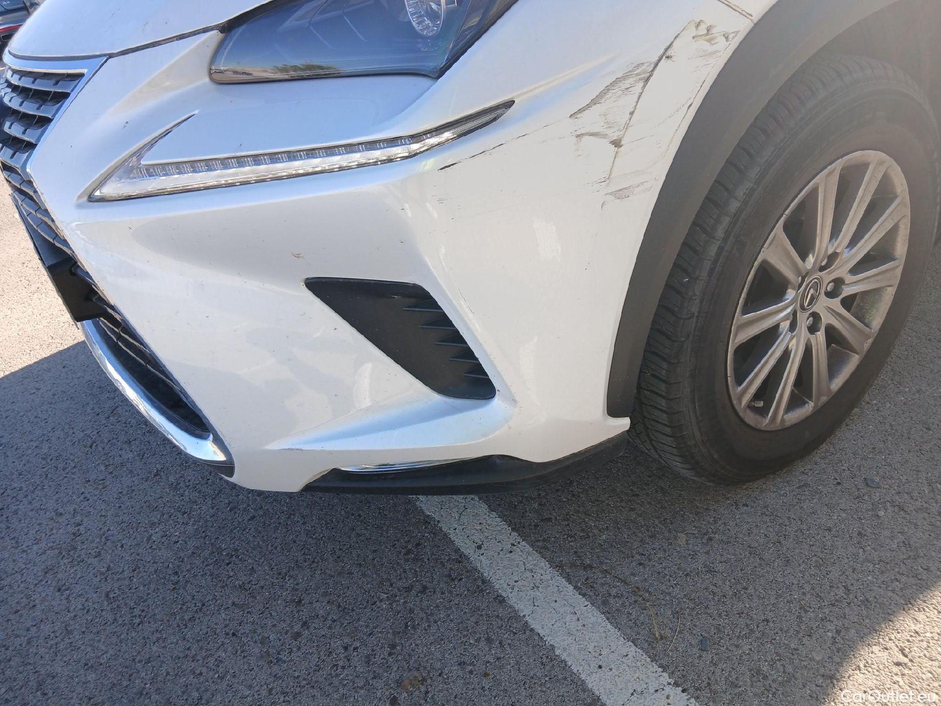  Lexus  NX LEXUS  / 2017 / 5P / todoterreno 2.5 300h Business Navigation 2WD (CX) #14