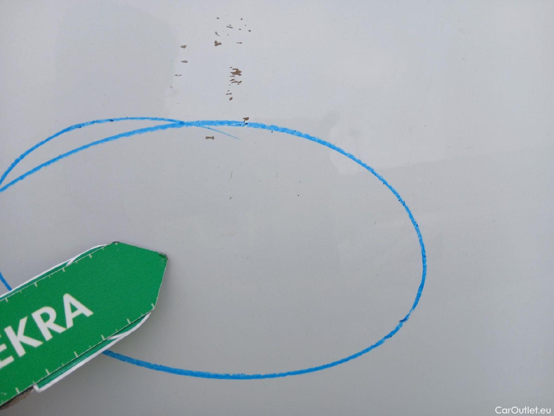  Renault  Kangoo  II Furgón Professional 1.5 dCi 95CV MT6 E6dT #PANELADO ISOTERMO# #11