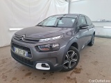 C4 Cactus