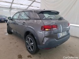 C4 Cactus
