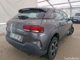 C4 Cactus