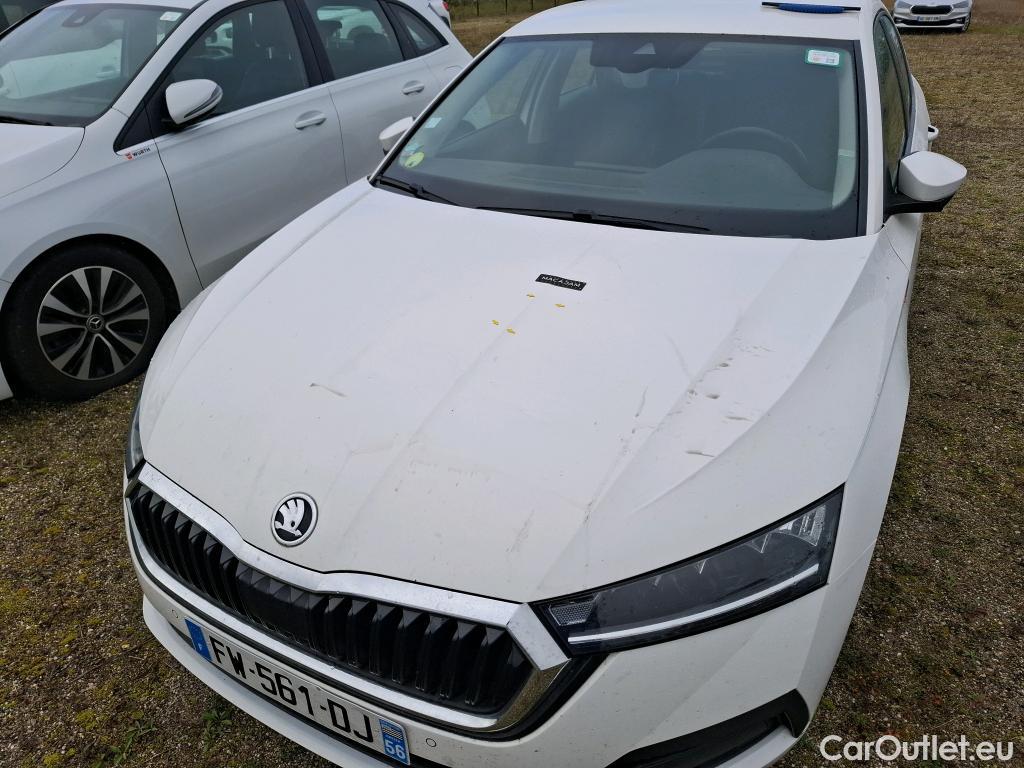  Skoda  Octavia  Lim. Business 2.0 TDI 115CV BVM6 E6dT #1
