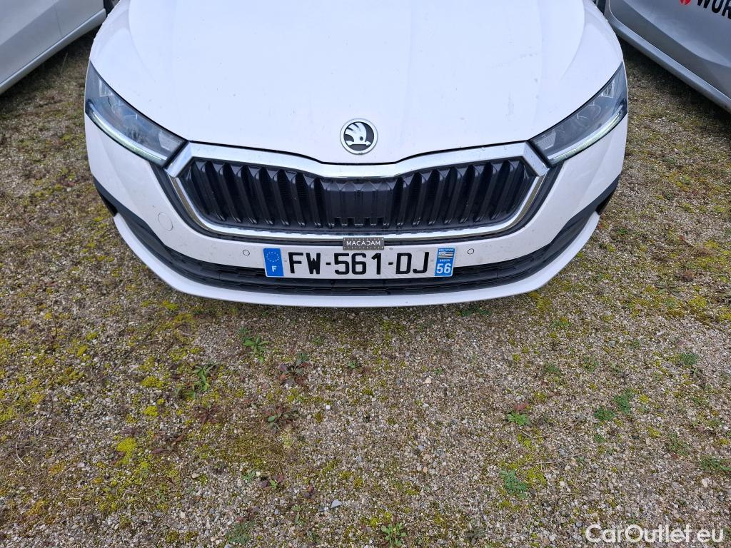  Skoda  Octavia  Lim. Business 2.0 TDI 115CV BVM6 E6dT #4