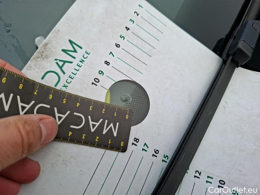  Skoda  Octavia  Lim. Business 2.0 TDI 115CV BVM6 E6dT #27