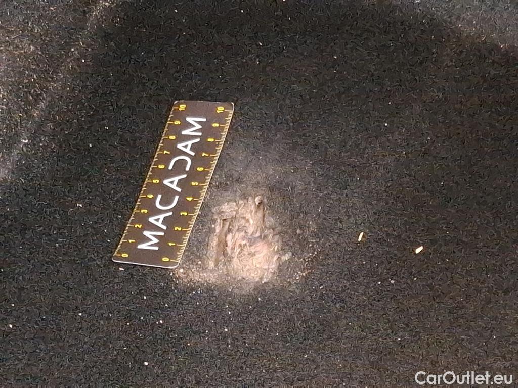  Seat  ATECA  Style Business 1.6 TDI 115CV BVA7 E6dT #22