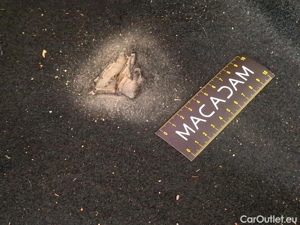  Skoda  Octavia  Break Style 2.0 TDI 150CV BVA7 E6d #26