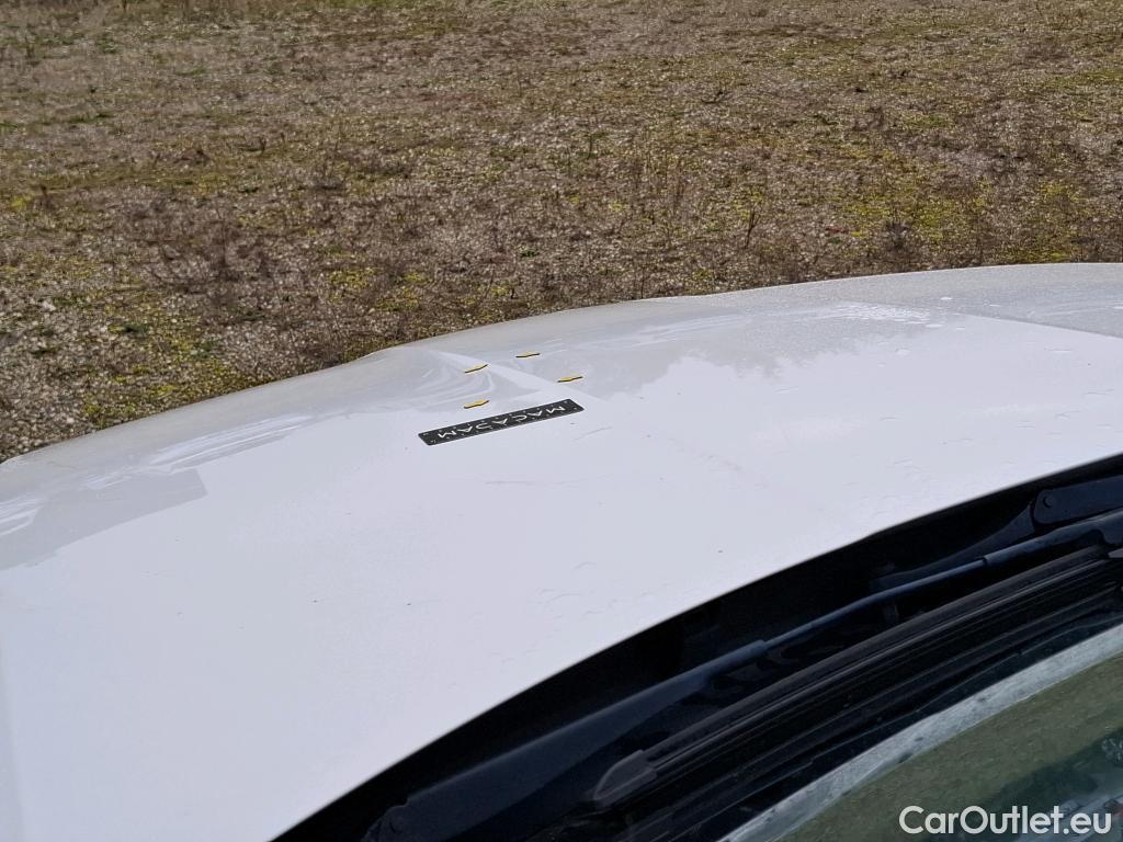  Skoda  Octavia  Lim. Business 2.0 TDI 115CV BVM6 E6dT #2