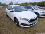  Skoda  Octavia  Lim. Business 2.0 TDI 115CV BVM6 E6dT #4