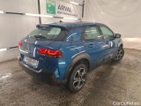 C4 Cactus
