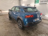 C4 Cactus