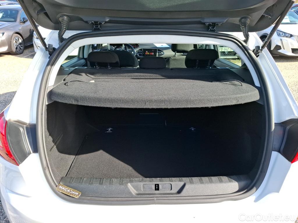  Peugeot  308  Active Business 1.5 HDi 130CV BVM6 E6dT #81