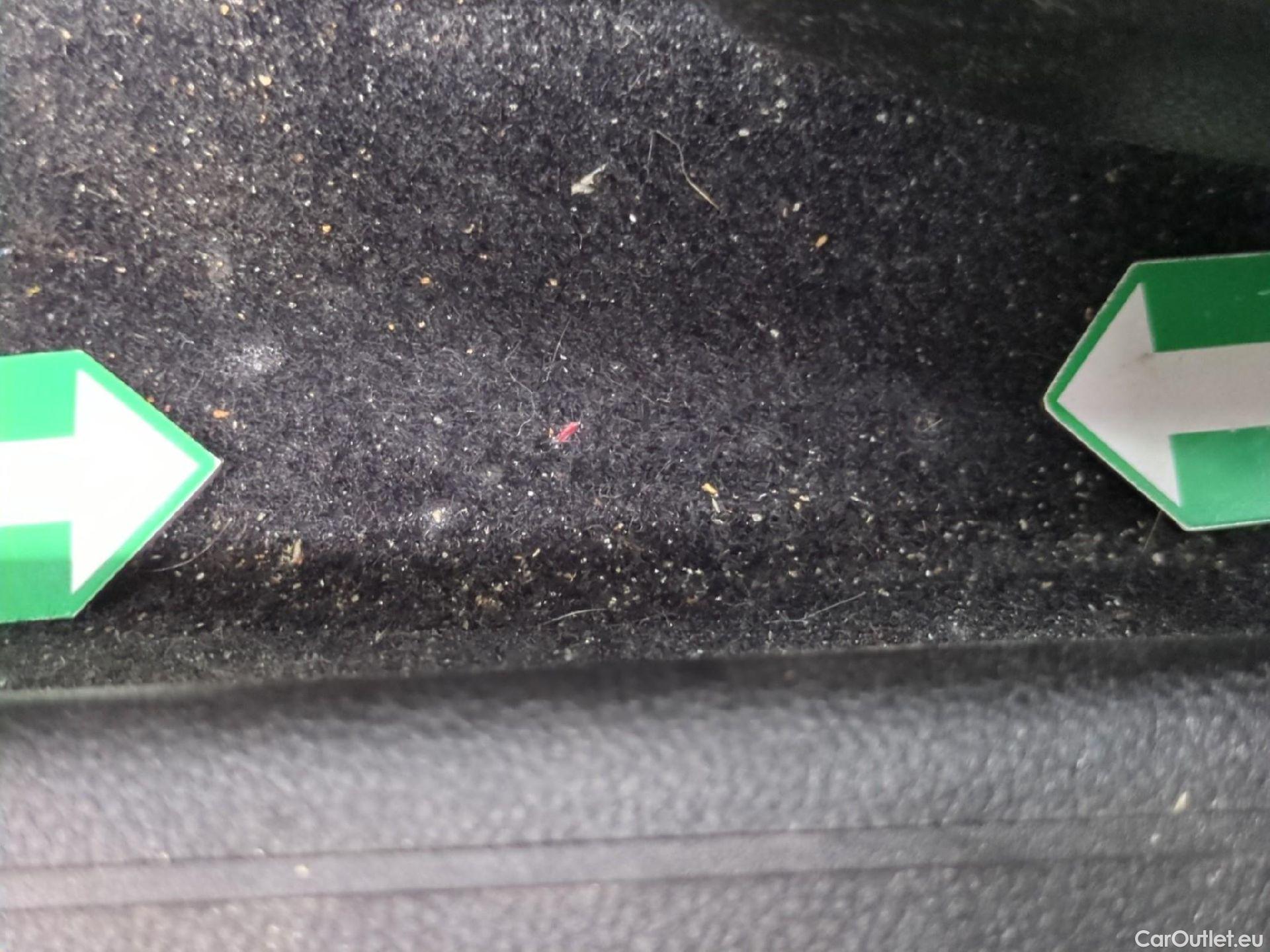  Renault  Clio  V Business 1.0 TCe 100CV BVM5 E6dT / TRANSFO VP/VF #5