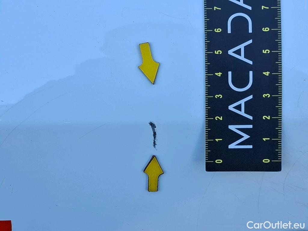  Renault  Kangoo  Z.E. 33 Extra BVA / CONTRAT DE BATTERIE #45