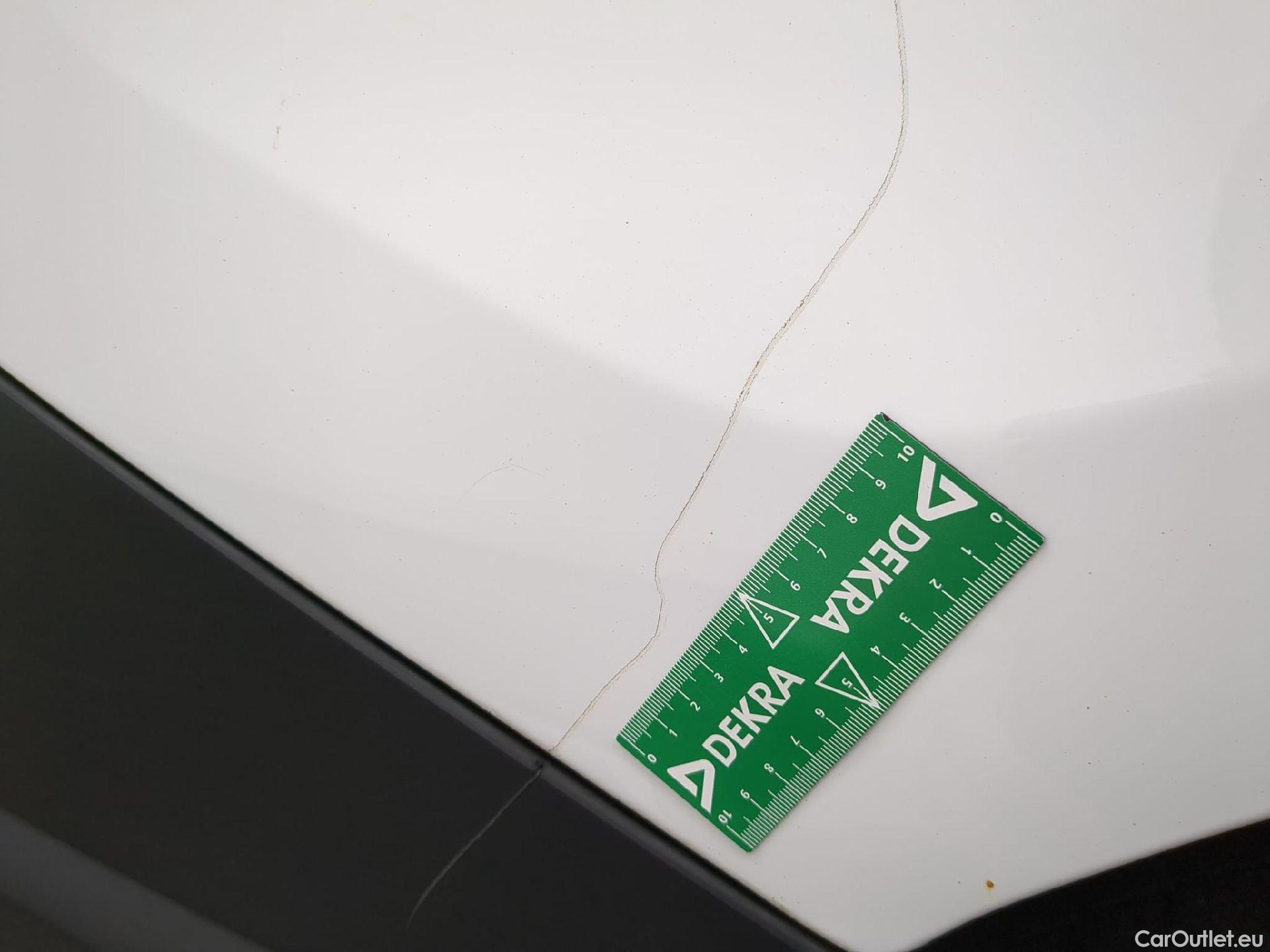  Renault  Trafic  III Fourgon L2H1 3T Confort 2.0 dCi 130CV BVM6 E6d #19