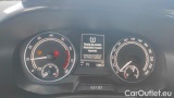  Skoda  Fabia 1.0 MPI Evo 59KW AMBITION #13