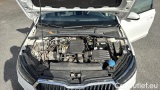  Skoda  Fabia 1.0 MPI Evo 59KW AMBITION #15