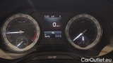 Skoda  Karoq 2.0 TDI 85KW EVO SCR Executive DSG #13