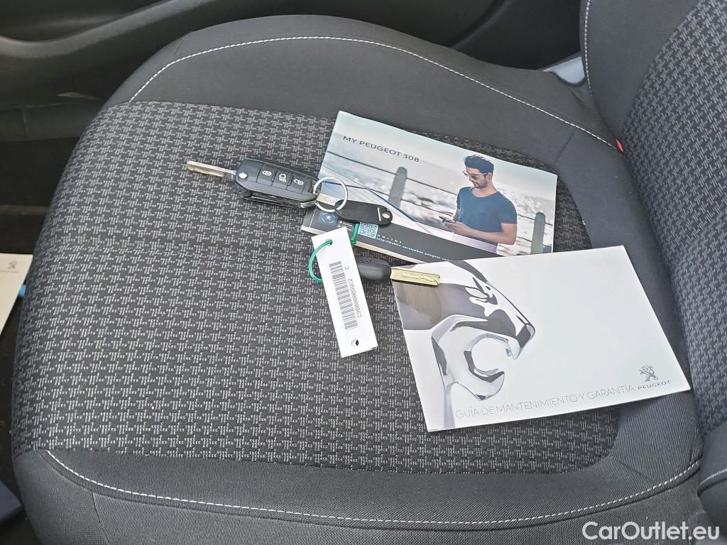  Peugeot  308 PEUGEOT  / 2017 / 5P / familiar SW Active Pack BlueHDi 130 S&S (AC2) #14