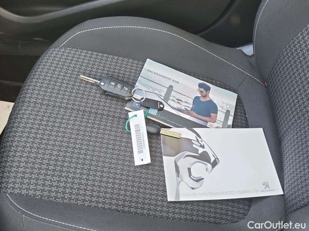  Peugeot  308 PEUGEOT  / 2017 / 5P / familiar SW Active Pack BlueHDi 130 S&S (AC2) #13