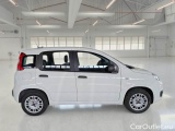  Fiat  Panda FIAT  / 2011 / 5P / BERLINA 1.2 69CV SeS E6D-TEMP EASY #7