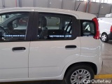  Fiat  Panda FIAT  / 2011 / 5P / BERLINA 1.2 69CV SeS E6D-TEMP EASY #59