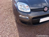  Fiat  Panda FIAT  / 2011 / 5P / BERLINA 1.0 FIREFLY 70CV SeS HYBRID #22