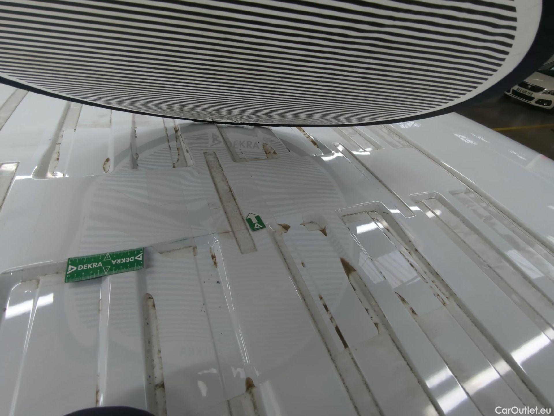  Renault  Trafic  Fourgon L1H1 1000 Confort 1.6 dCi 95CV BVM6 E6dT #31