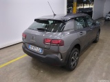 C4 Cactus