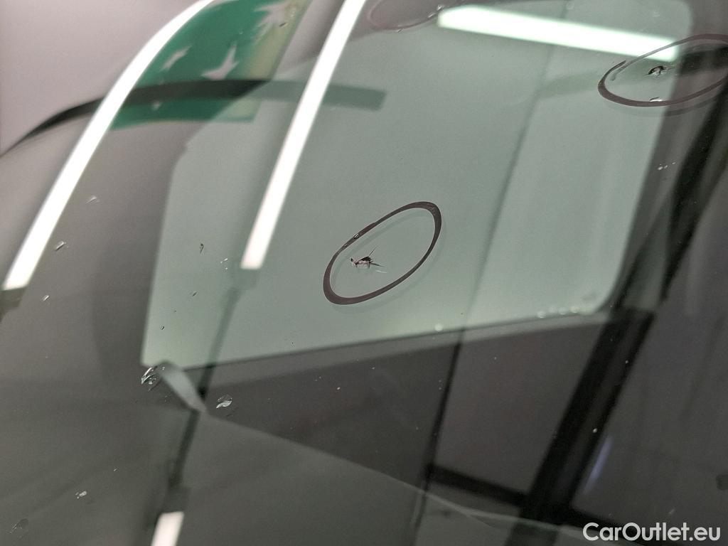  Renault  Kangoo  Express Maxi Extra (Série Spéciale) 1.5 dCi 90CV BVM5 E6 #16