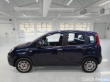  Fiat  Panda FIAT  / 2011 / 5P / BERLINA 1.2 69CV E6D-TEMP EASY #8