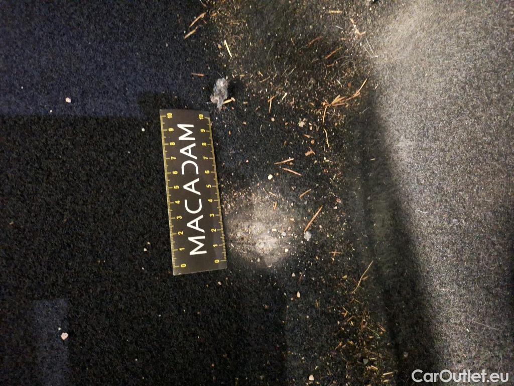  Ford  Kuga  Titanium Hybrid 2.5 190CV BVA6 E6dT #19