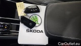  Skoda  ENYAQ 80 #12