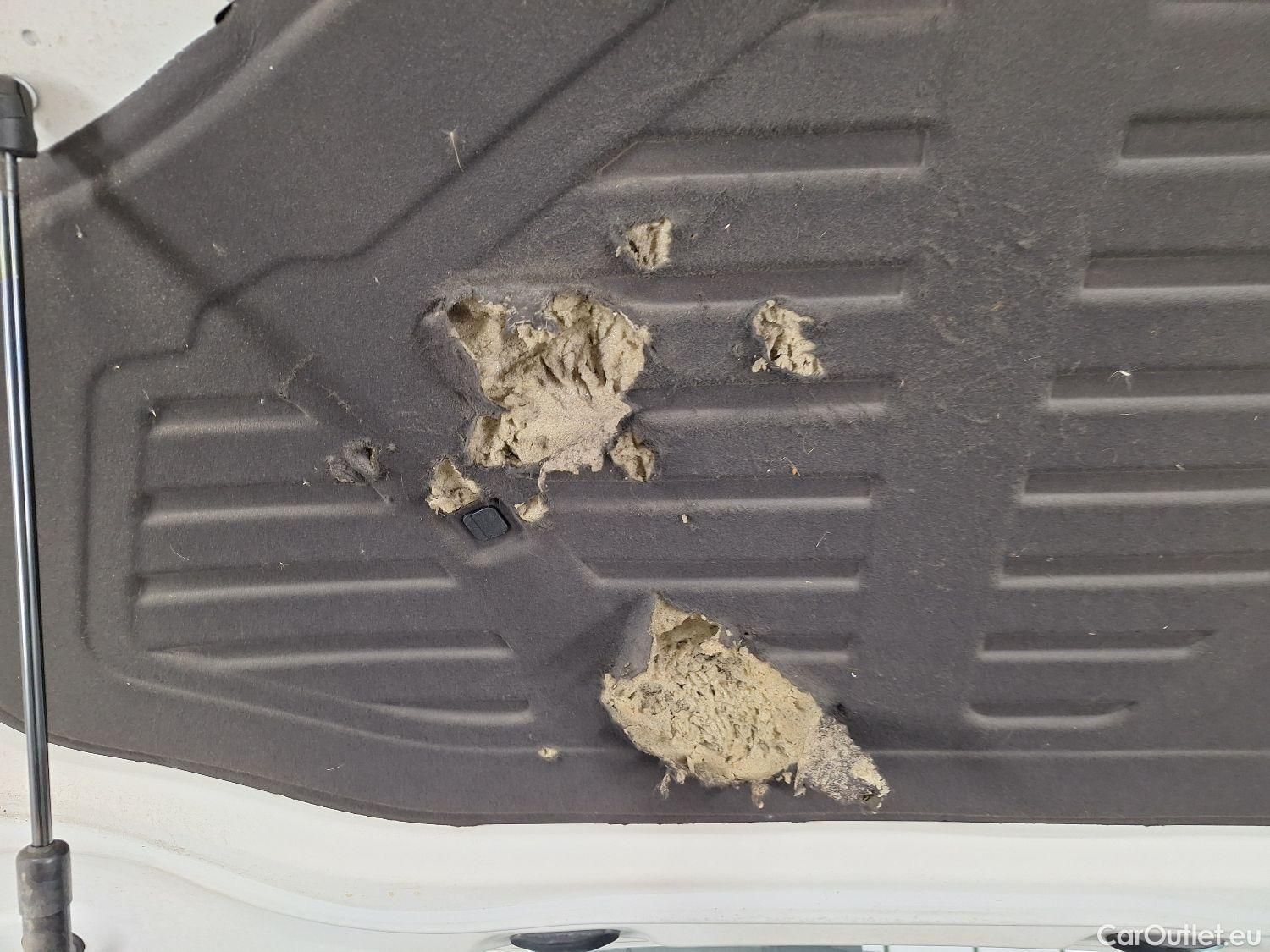  Audi  A3 Audi,  SB '20, Audi  Sportback 2.0 35 TDi 110kW S tronic Busine #21