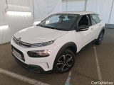 C4 Cactus