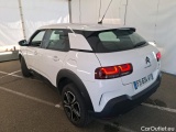 C4 Cactus