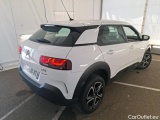 C4 Cactus