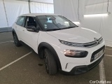 C4 Cactus