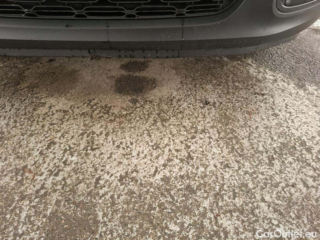  Citroen  C3  Shine Business 1.2 PureTech 110CV BVM6 E6d #3