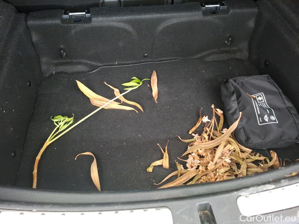  Mini  Countryman MINI   2020  5P  Crossover Cooper Edition Northwood 136 ch BVM6 #19