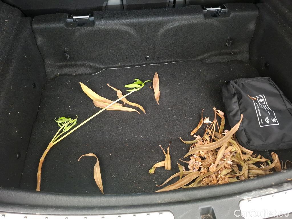  Mini  Countryman MINI   2020  5P  Crossover Cooper Edition Northwood 136 ch BVM6 #4